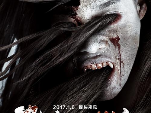 库隆加塔（纽昆州界 Coolangatta）永久居住卡办理